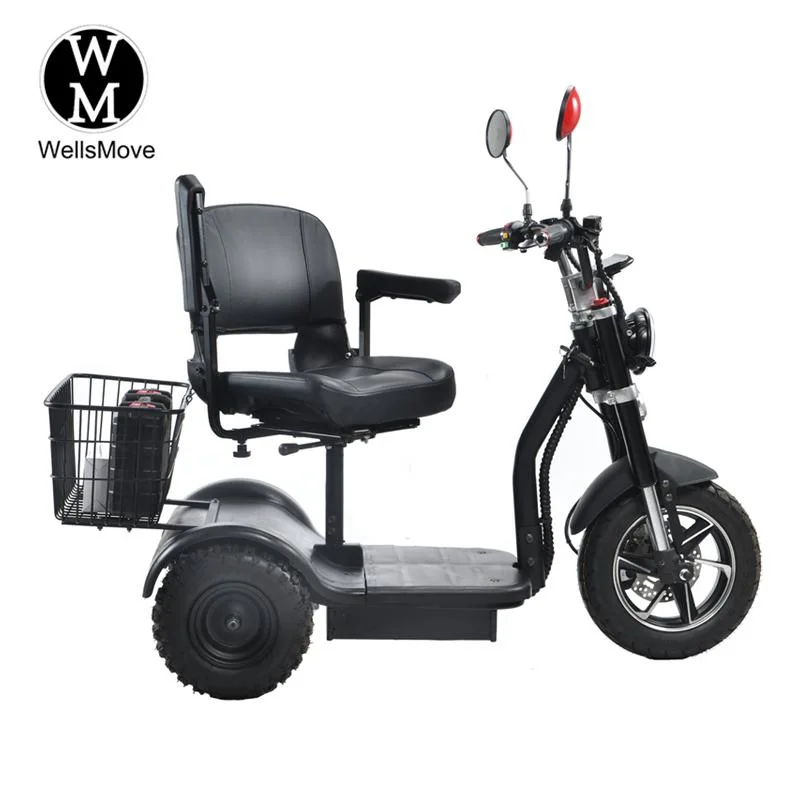 Adulte 600W 48V20A Batterie au lithium Scooter de tricycle électrique récréatif à charge lourde