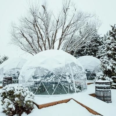 Luxury PVC 6m Geodesic Dome Tent Winter Outdoor Camping Resort Hotel Igloo Tent