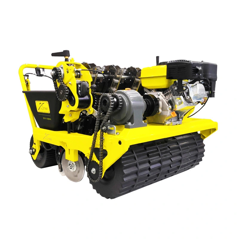 High Quality Garlic Planting Machine with Competitive Price