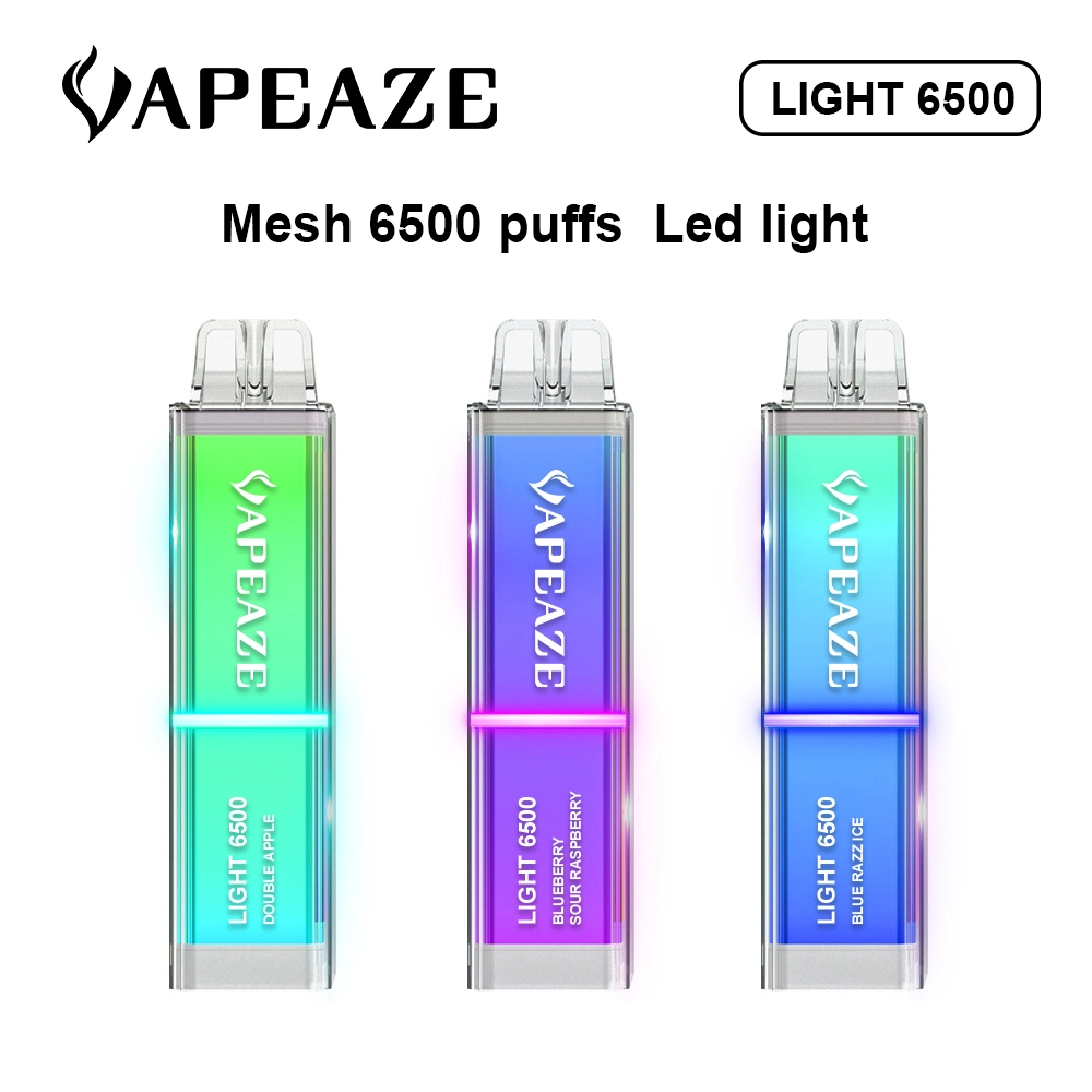 High Quality 10ml E Liquid Fruit Flavors 20+ E Cigarette Disposable Pod Recharging RGB Lighting 6500 Puff Disposable Vape Kit