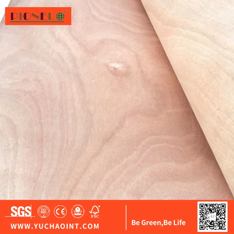 Natural Okoume/Birch/Pine Wood Veneer for India, Malaysia, Indonesia