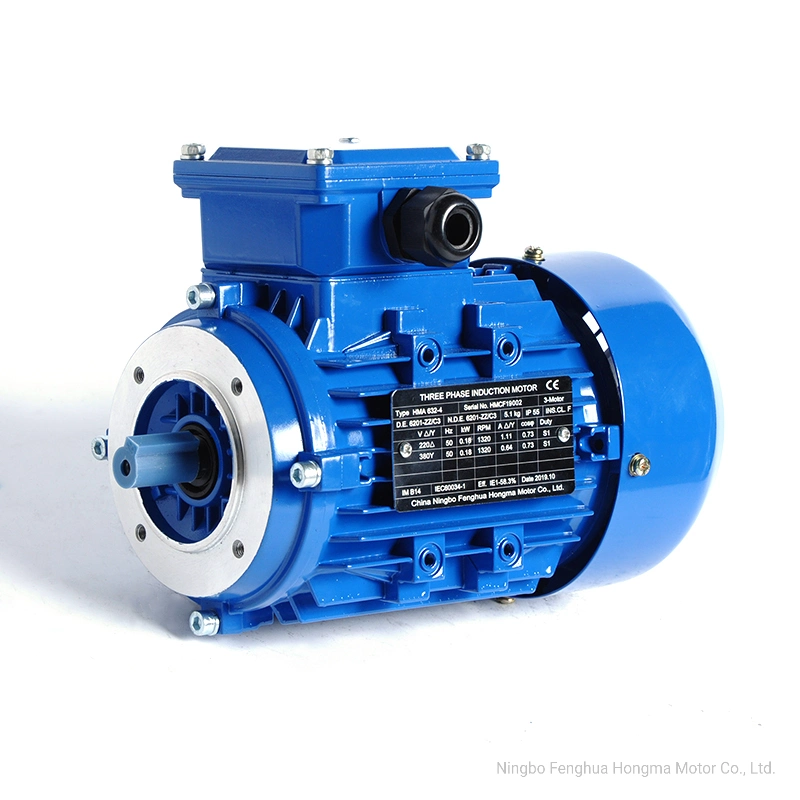 Y2/Y3 Series Three Phase AC Electric Motor CE