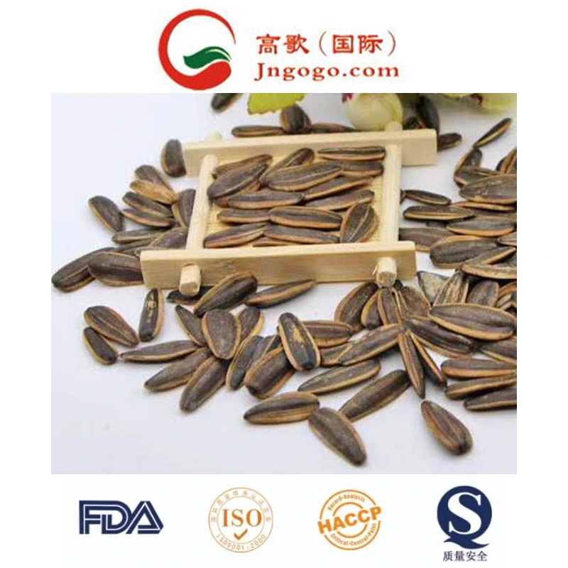 Big High quality/High cost performance Sunflower Seeds Grade 5009