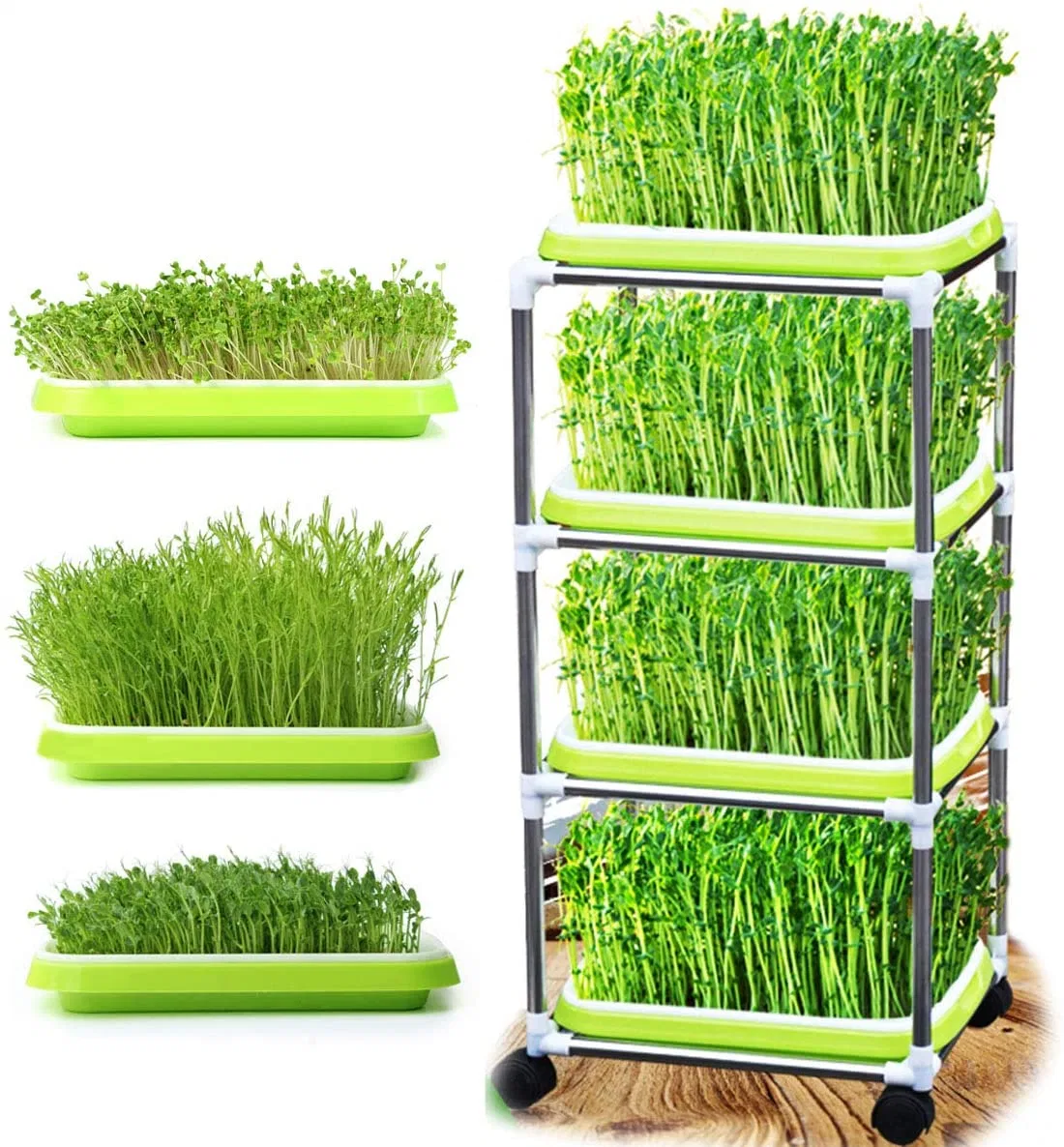 Eed Sprouter Tray 5 Pack, BPA Free Nursery Tray Seed Germination Tray Healthy Wheatgrass Seeds Grower & Storage Trays for Garden Home Office