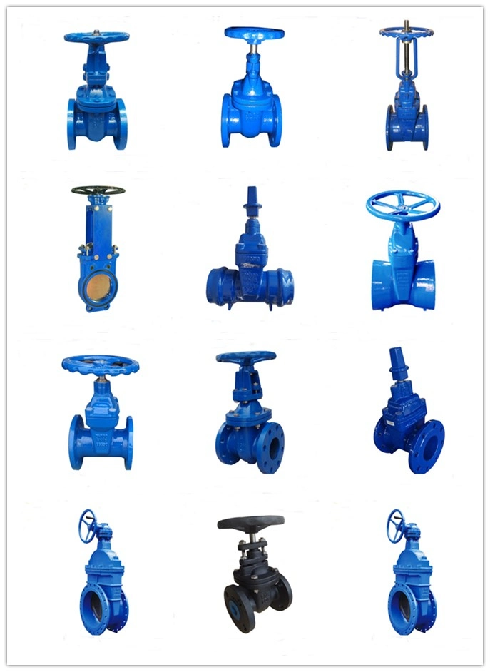 DIN Standard Cast Iron/Ductile Iron Flange Type Gate Valve with ISO Certificate