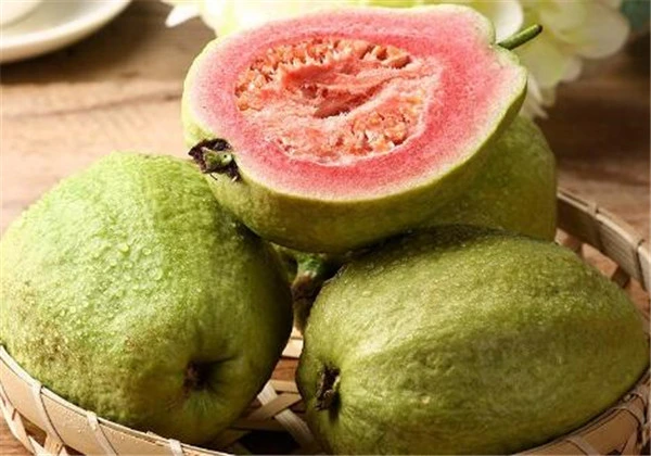 100 % Natural Guava Extract Powder / Psidium Guajava L Natural Pure Food Additives