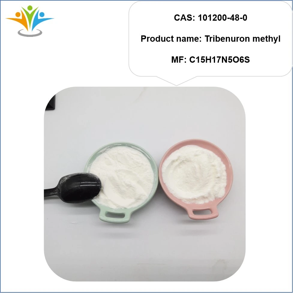 Approvisionnement en usine cas 101200-48-0 Tribenuron Methyl