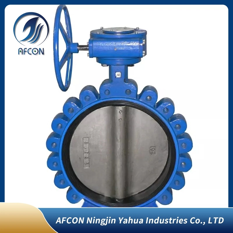 Custom Ductile Iron / Cast Iron Wafer Butterfly Valve