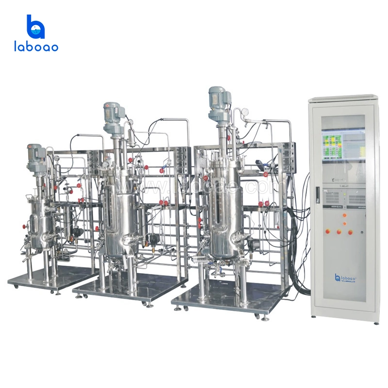 Laboao Tertiary Cell Culture Bioreactor Machine Stainless Steel Fermenter System