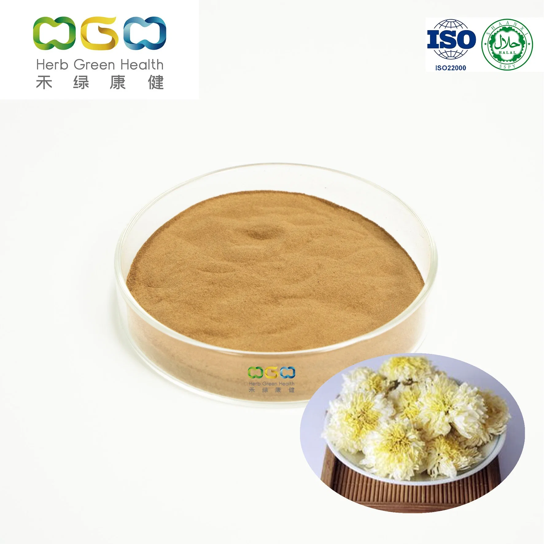 Wholesale Beverage Brown Yellow Powder Instant Hangzhou White Chrysanthemum Tea Powder