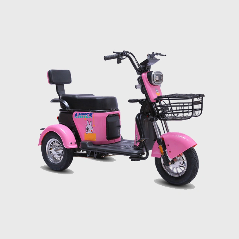 Electric Wheel Tricycles Motor Rear and Display with Cargo Fat Engine Bicycle 3 Passenger E-Cargo 200kg Load Costumer Tricycle