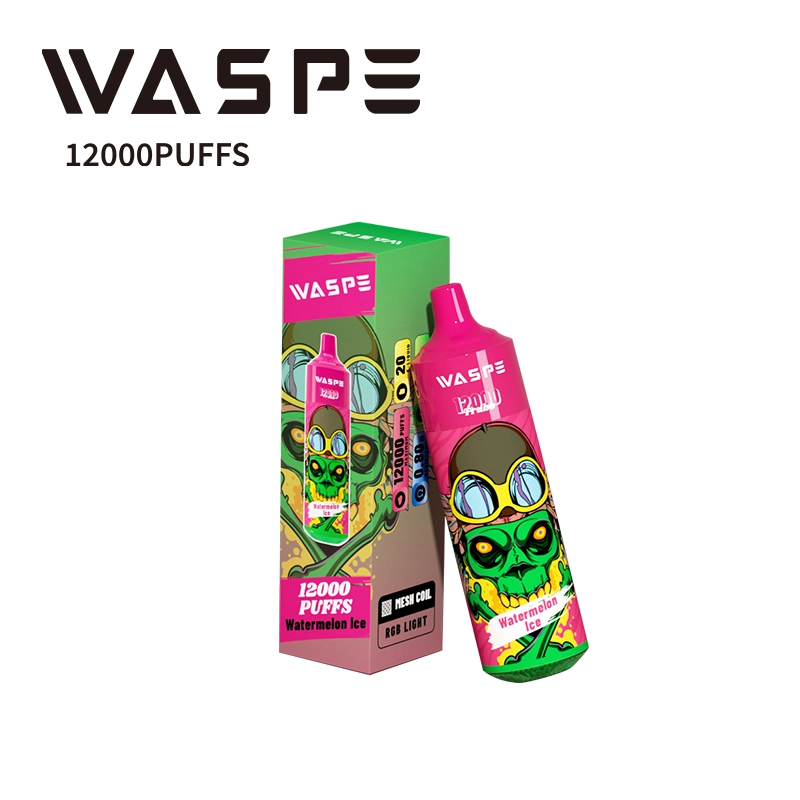 Original Factory Wholesale/Supplier 12000 Puffs 20ml 2% 5% Nic Salt Disposable/Chargeable Vape