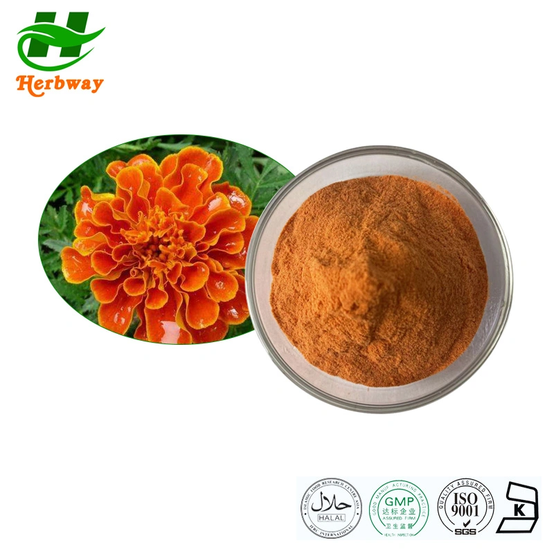 Herbway Kosher Halal FSSC HACCP Сертифицировано Zeaxanthin Lutein порошок Marigold Извлеките