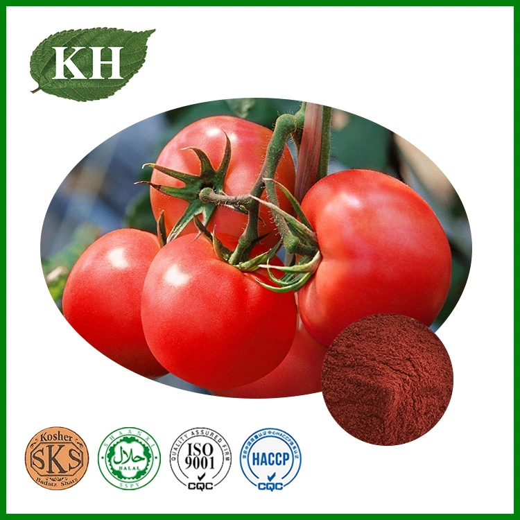 Tomato Extract 5%, 6%, 10% Lycopene