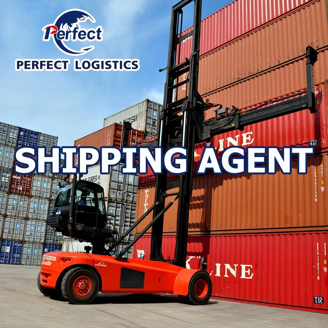 Seefracht Spediteur mit günstigen Container Shipping Rates von Shenzhen / Guangzhou / Yiwu China nach Belgien/Bulgarien Ocean Shipping