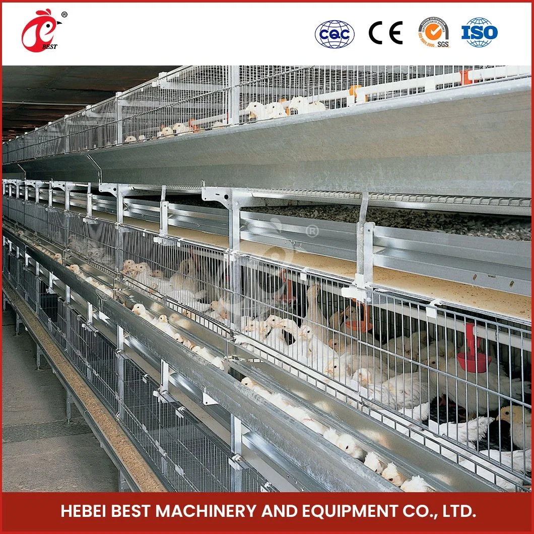 Bestchickencage China Farm Chicken Coop Manufacturers H Frame Automatic Boriler Cages Custom Save Space Durable 3 Tier Chicken Cage