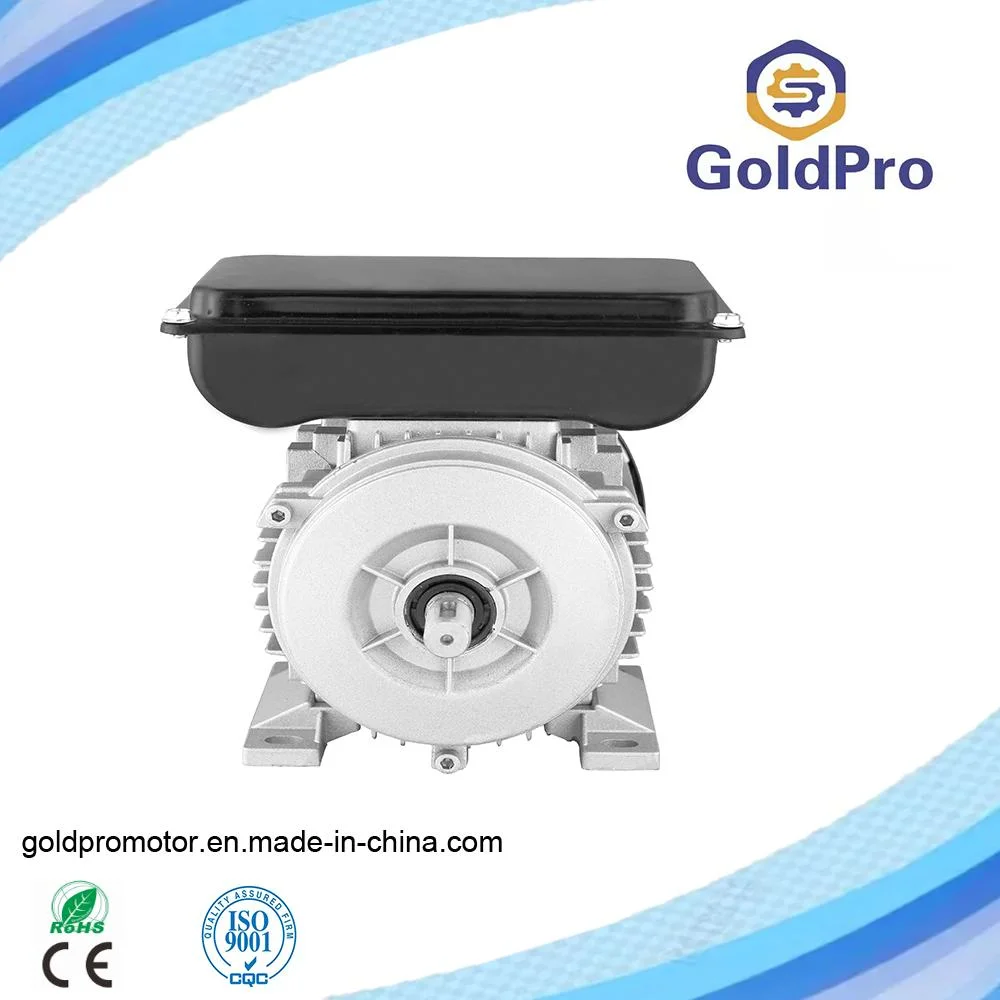 AC Asynchronous Induction Single Phase Electric Motor with Aluminum Body for Axial Fan