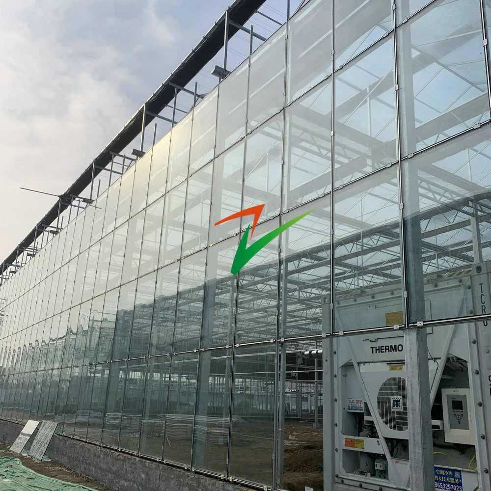 China Modern Agricultural Multi Span Glass PC Gutter Greenhouse for Vegetable