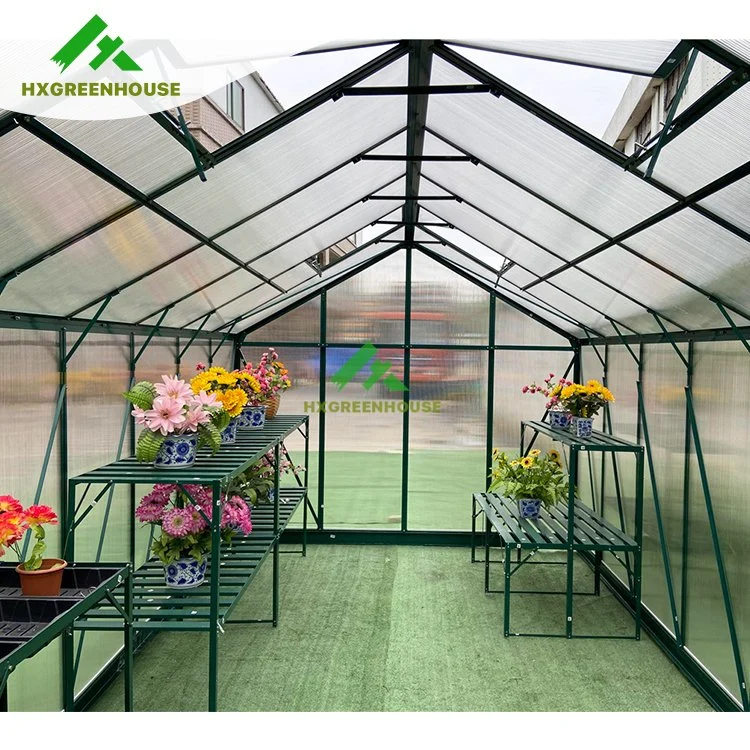 Melon Green House Plexiglass Set Retail Dutch Horticulture Venlo Greenhouse Used Grapes Greenhouse