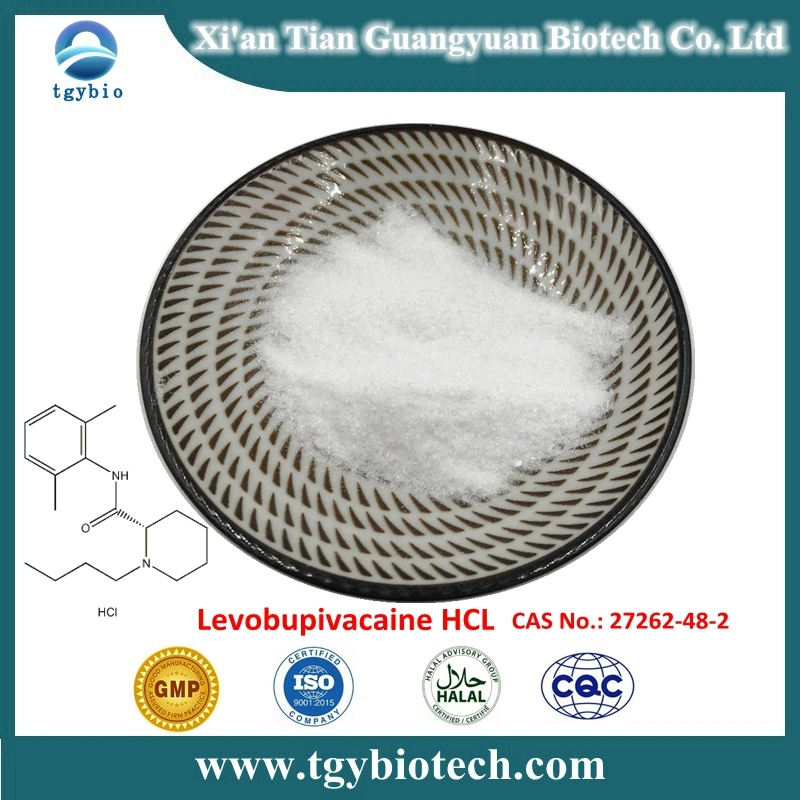 Topical Pain Relief Levobupivacaine Hydrochloride CAS 27262-48-2 Powder API