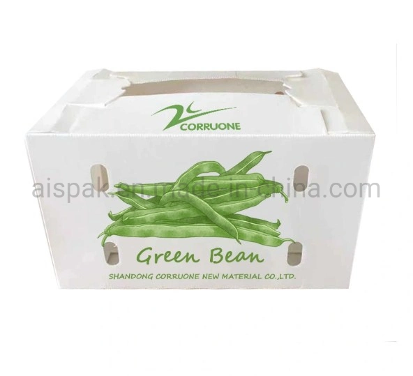 PP Twin Wall Hollow Fruit Vegetable Packing Box