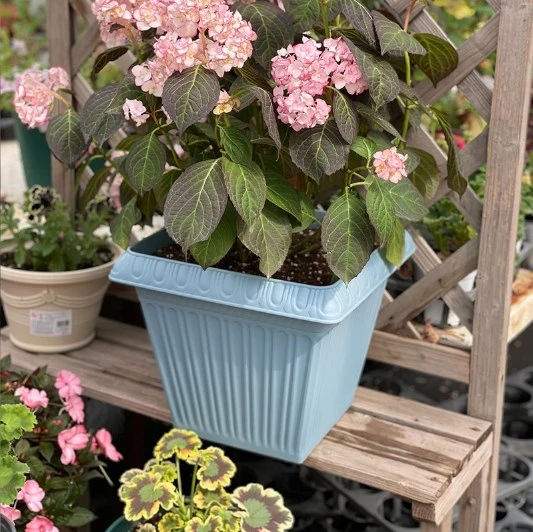 Wholesale/Suppliers Price Planter Flower Pots Plastic Vase Garden Decoration Desktop Balcony Green Plants