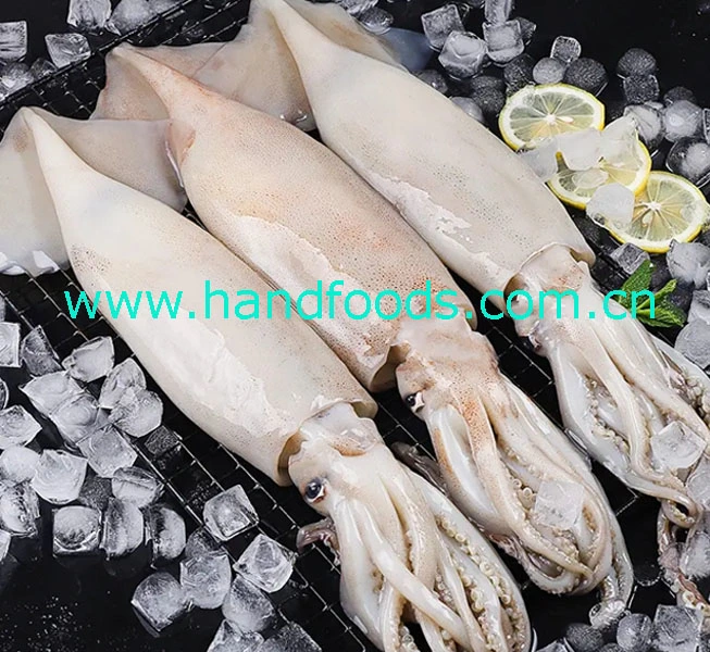 Hot Sale Products of Squid in Cheap Price Heathy Food