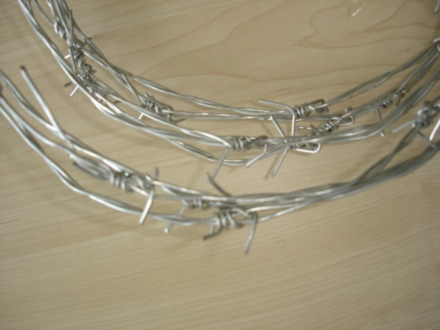 Galvanized Iron Barbed Wire for Prison Security Fence with SGS Add Post