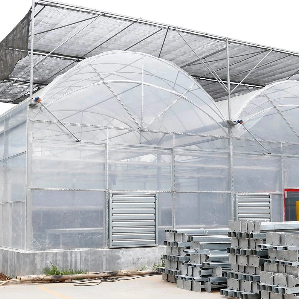 Hot Sale Film Plastic Greenhouse for Vegetable and Flowers Growing