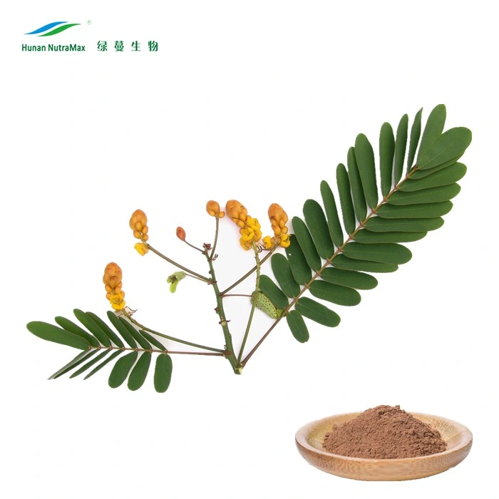 Herbal 4%~20% Sennosides a+B Powder Senna Leaf Extract with Cathartic Effect