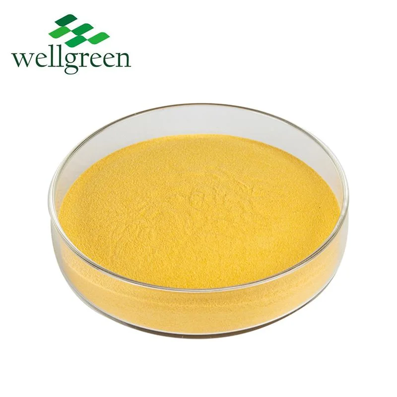 Gefriergetrocknete Mangos Seed Extract Geschmack Saft Blatt Bio-Frucht Afrikanisches Mangos-Mangopulver