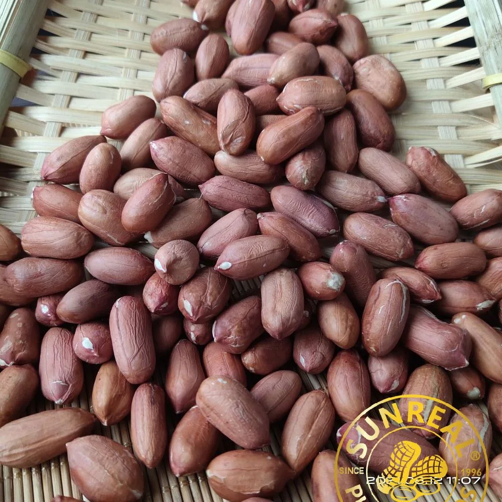 Raw Peanut Kernels Virginia 24/28 China//Good Service/All Necessary Licenses and Certificates