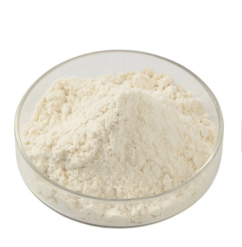 200mesh Best Price Xanthan Gum for Food Powder Suppliers CAS 11138-66-2