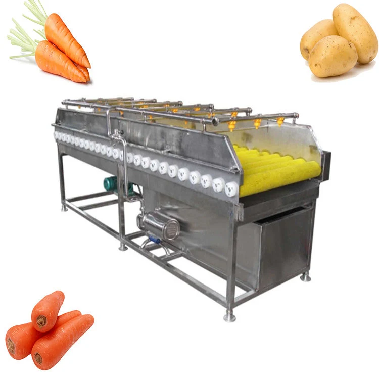 Fully Automatic Brush Type Date Palm Carrot Fruit Washer