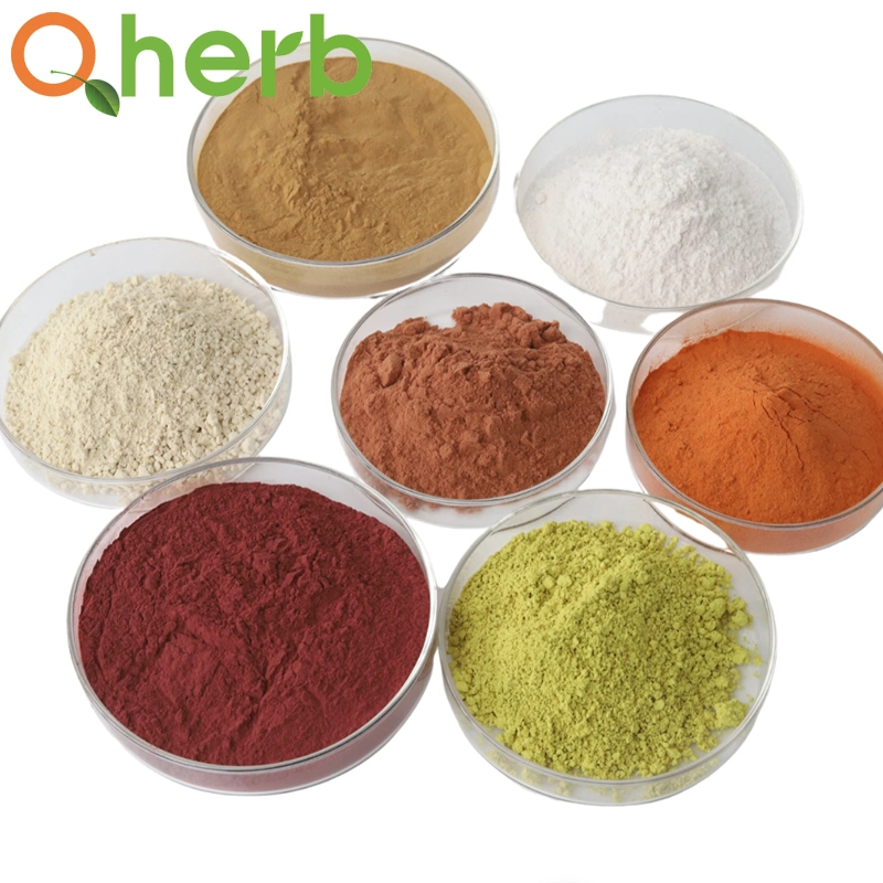 Halal & ISO Certificate Immune Regulation Women's Health Resvertrol 98% Powder Extract