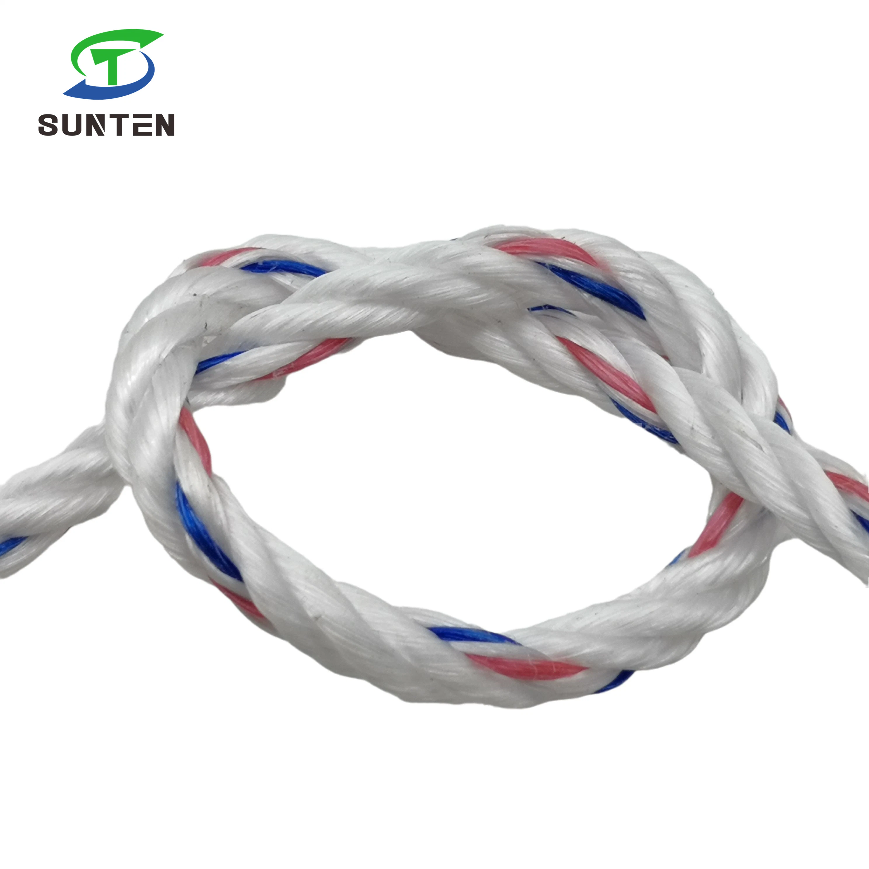 3mm-50mm PP/Polypropylene/Plastic/Fishing/Marine/Mooring/Twist/Twisted Danline Rope