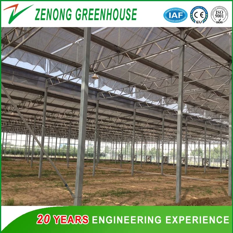 Beautiful Glass Greenhouse with Cooling System for Elegant Flower Cultivation/Commercial/Agricultrual Usage