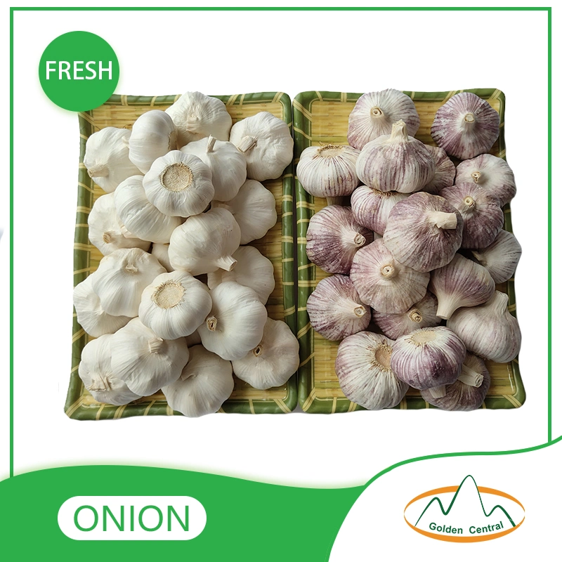 China Best Wholesale/Supplier Fresh Garlic Price with High quality/High cost performance  for Export