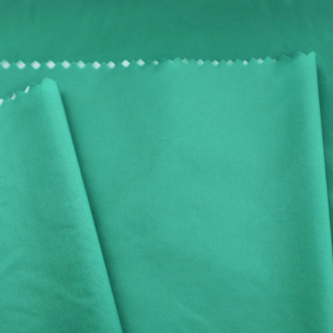 100% Dull Nylon Taffeta Fabric with Lamination for Garments