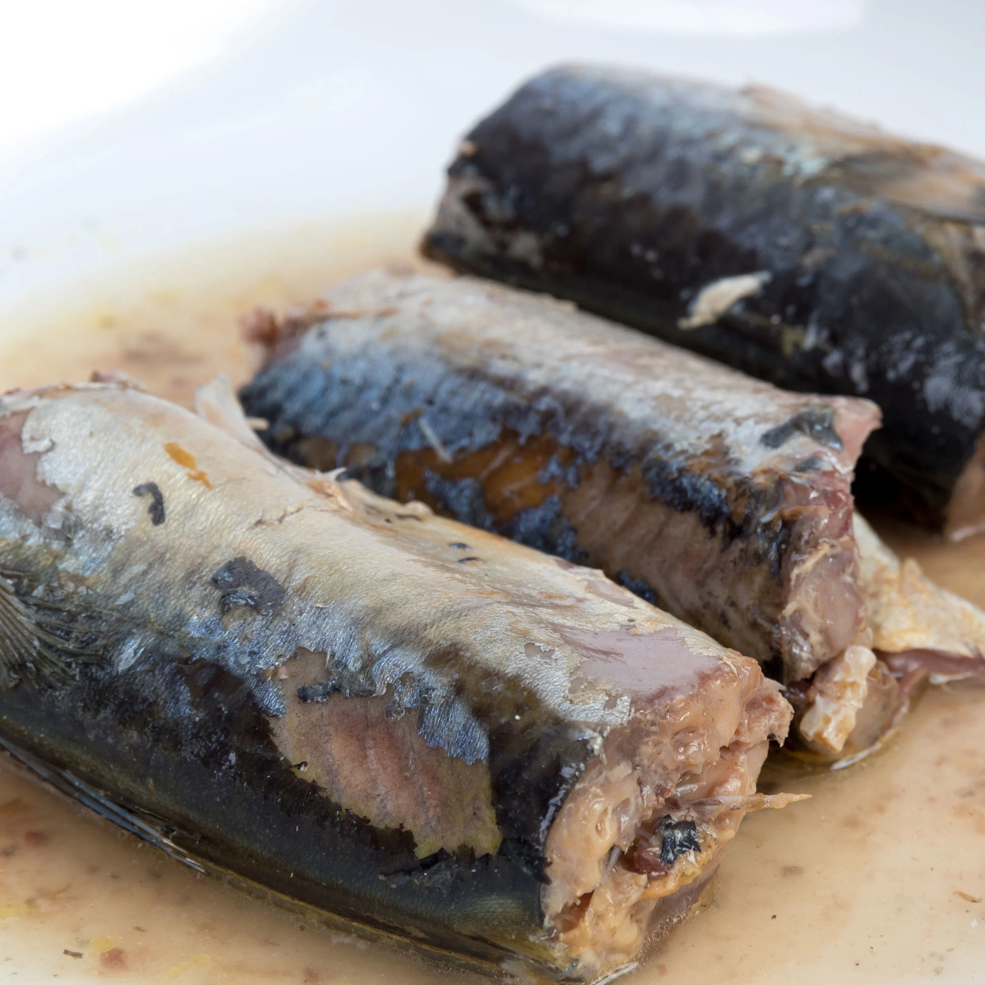 Консервы из морепродуктов Sardine рыбы в растительное масло