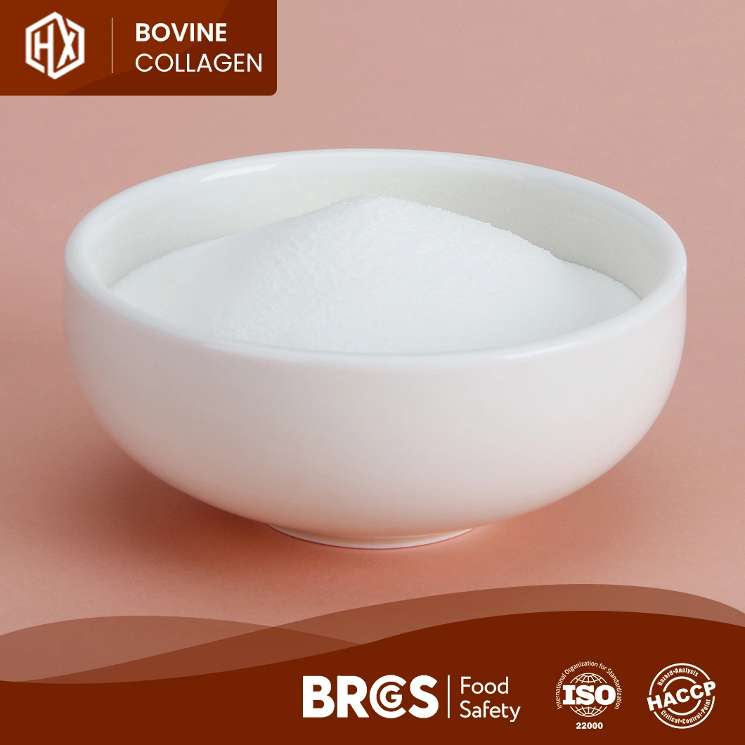 Haoxiang piel bovina de grado alimenticio en polvo de colágeno hidrolizado de colágeno bovino Powder Fabricante China Wholesale/Supplier alimentadas de hierba personalizada en polvo de colágeno bovino