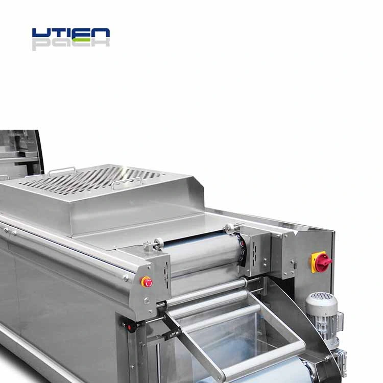 High Output 1000pk Per Hour Fresh Frozen Fish Shrimp Tuna Fillet Vacuum Map Packaging Machine