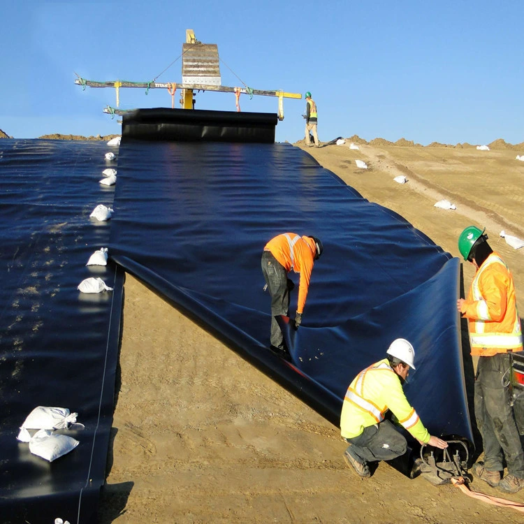 HDPE Building Foundation Waterproof Geomembrane for Damp Proof