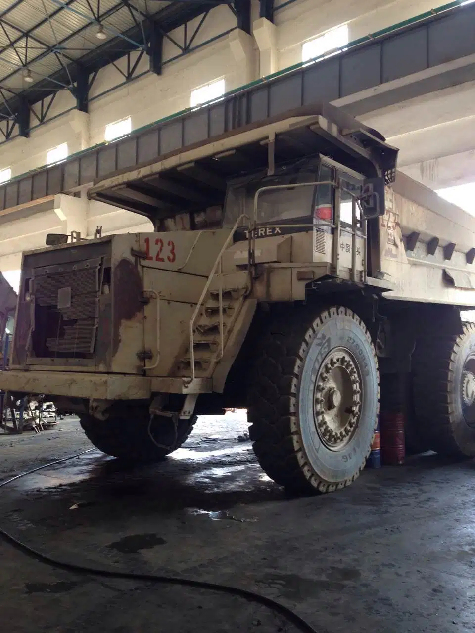 Terex rodamiento (07451617) por Terex parte Dumper