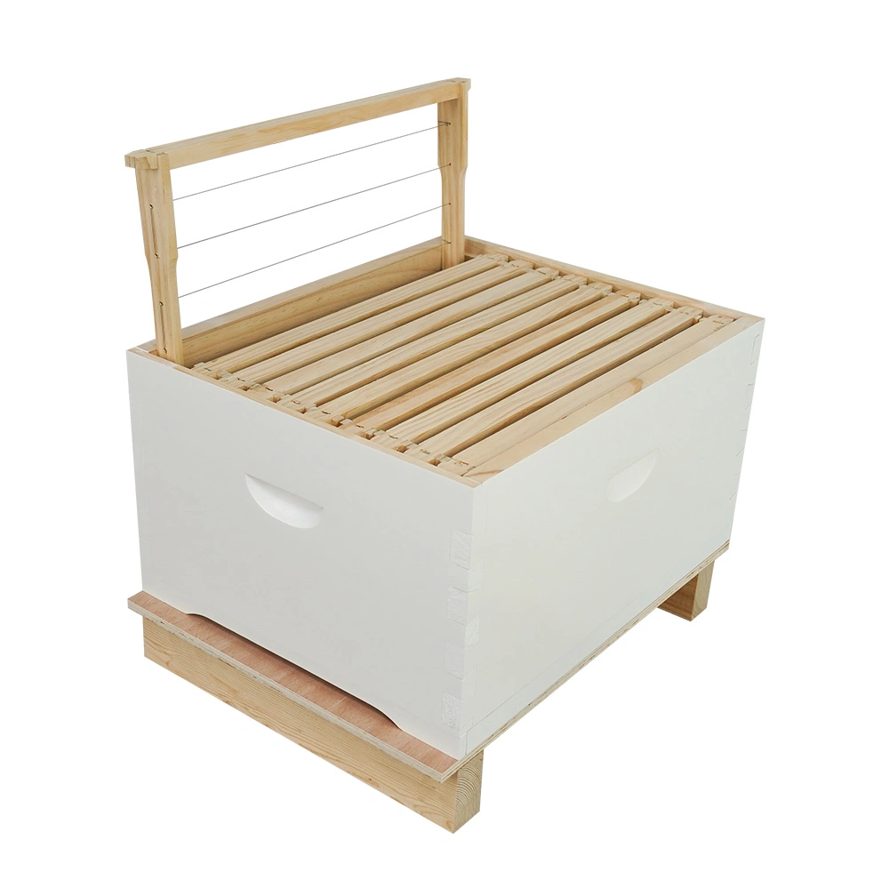 Manufacturers Bee Hive Frames Box Australian Beehive Iron Wire Series Suit