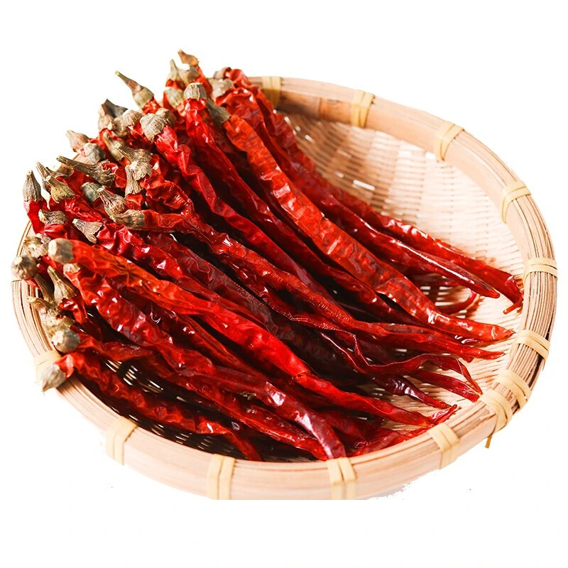 China New Crop Super Hot Red Dry Natural Chili