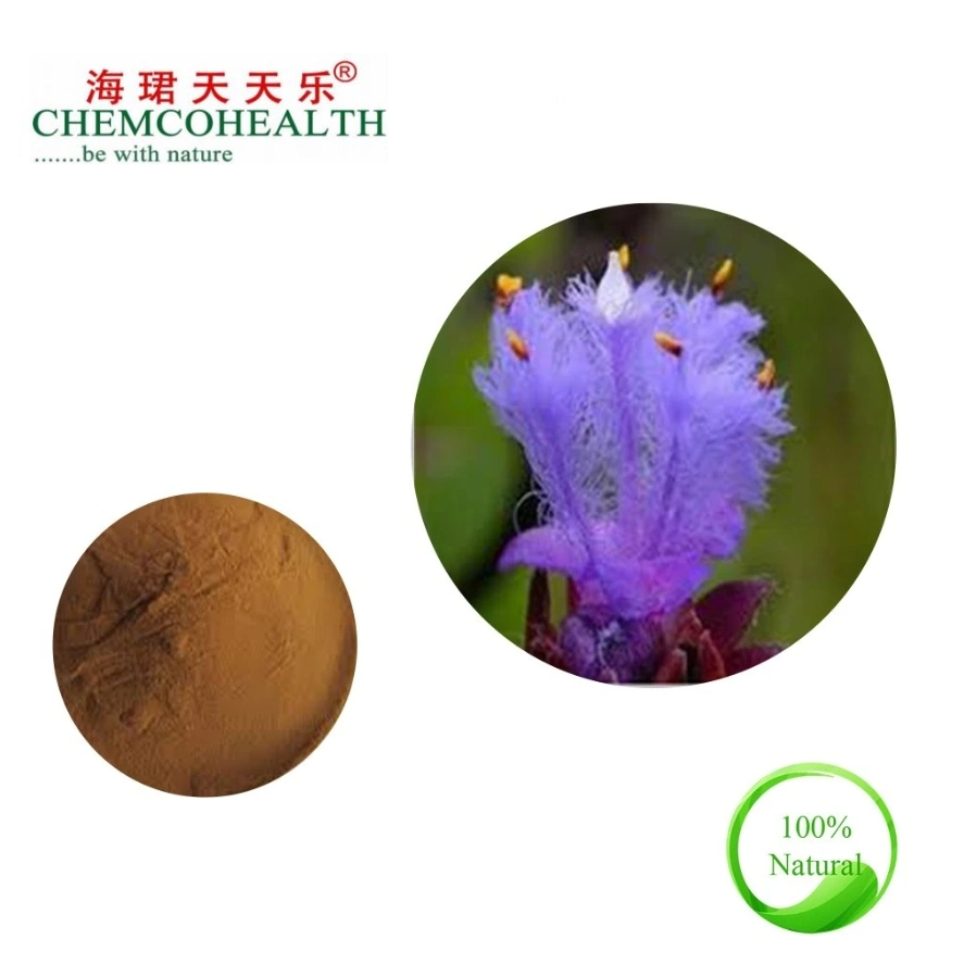 Purely Natural High-Concentration Ecdysterone Cobweb Cyanobacteria Extract