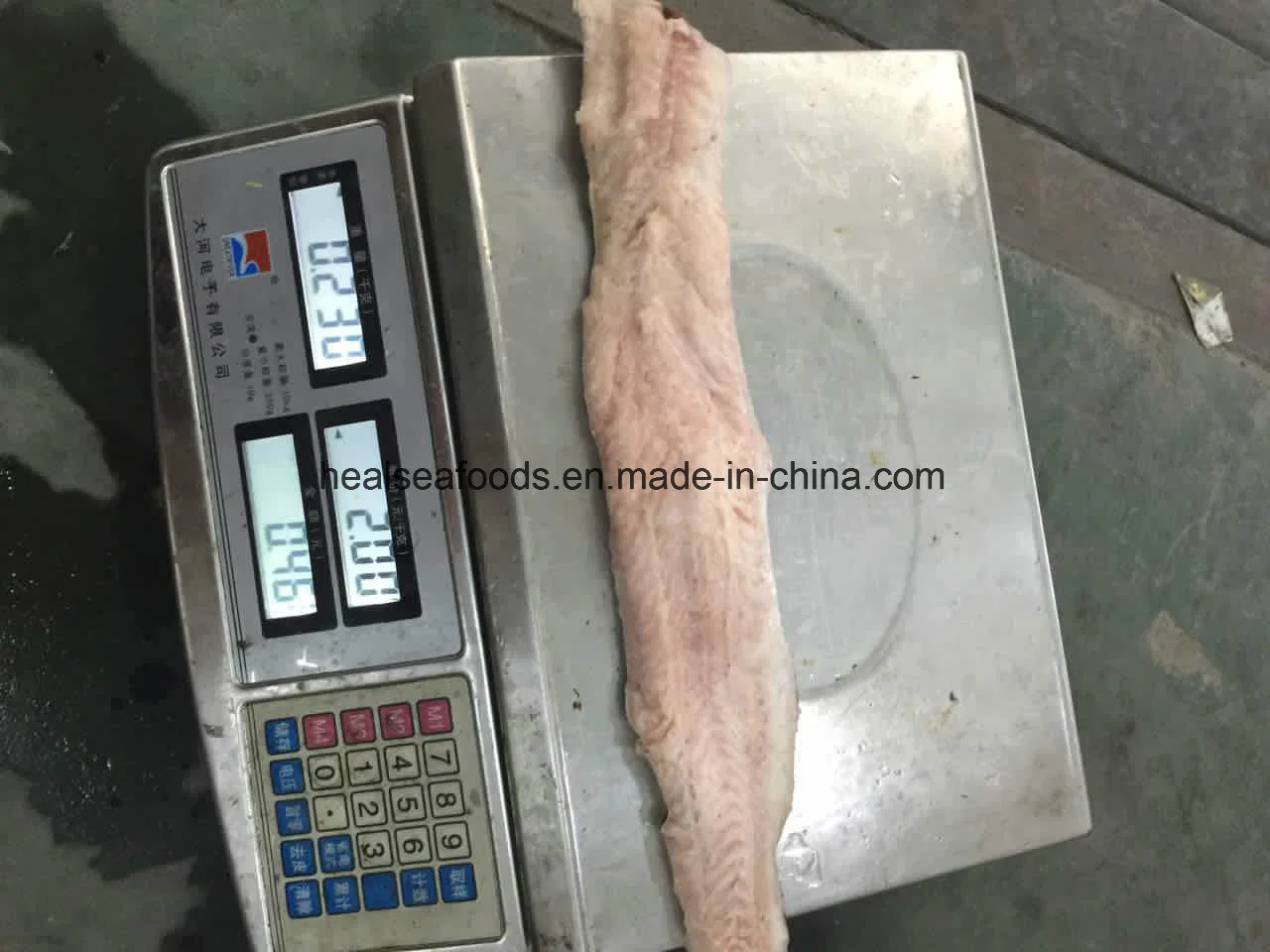 Best Freshness Frozen Catfish Fillet for Sale