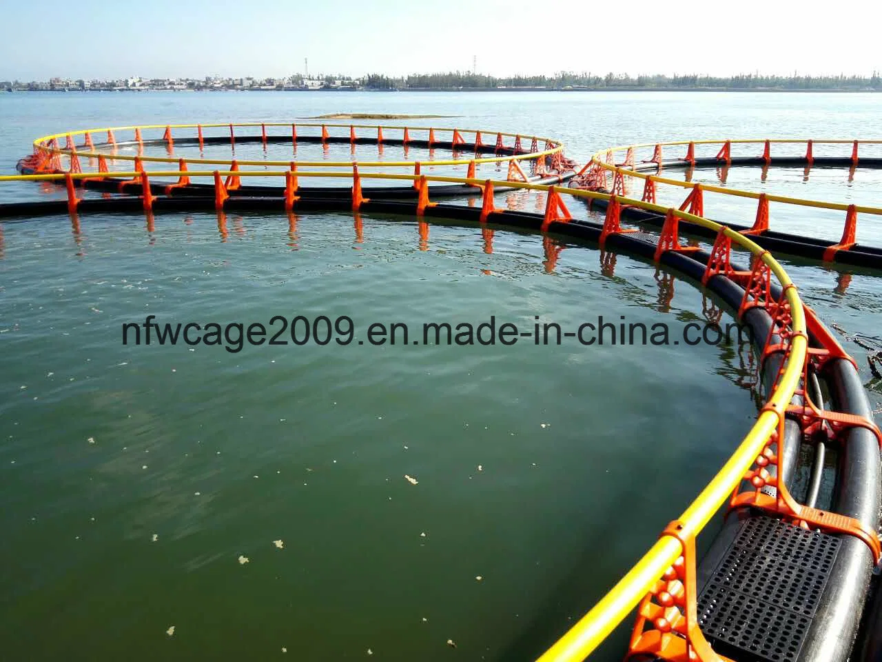 Supply Installation Service for You of Our Best Seller HDPE Floating Fish Cage