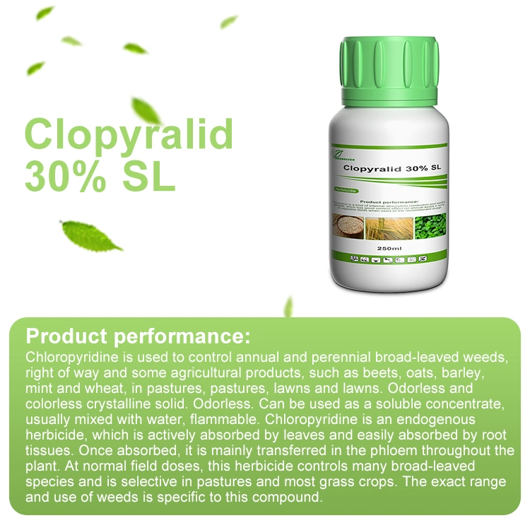 Synthetic Auxin Herbicide Clopyralid 30% SL Agrochemical Pesticide Factory Price